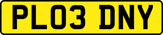 PL03DNY