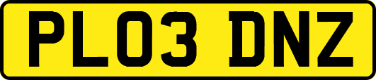 PL03DNZ