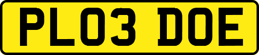 PL03DOE