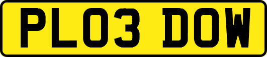 PL03DOW