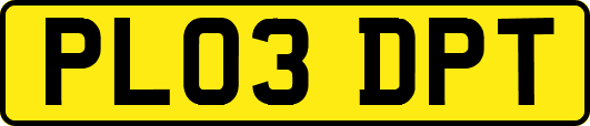 PL03DPT
