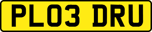 PL03DRU