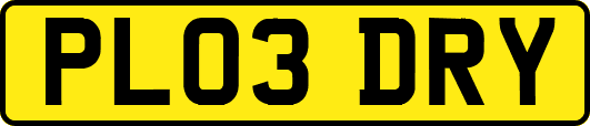 PL03DRY