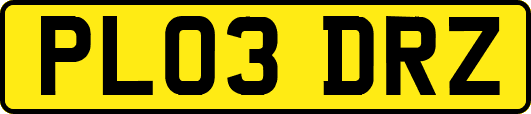 PL03DRZ