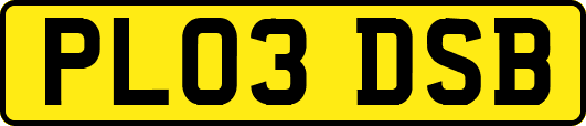 PL03DSB