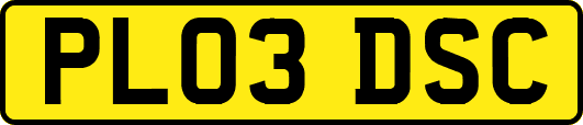 PL03DSC