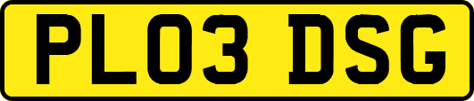 PL03DSG