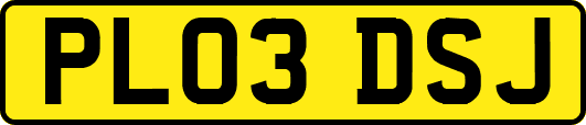 PL03DSJ