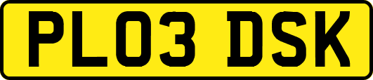 PL03DSK