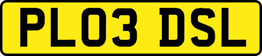 PL03DSL