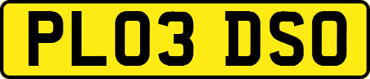 PL03DSO