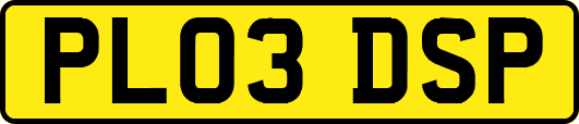 PL03DSP