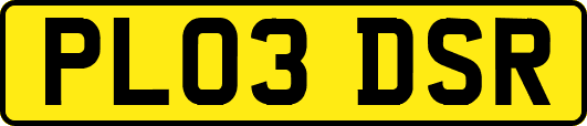 PL03DSR