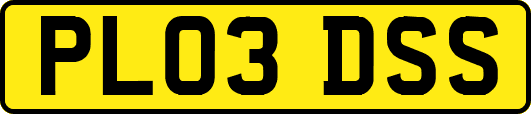PL03DSS