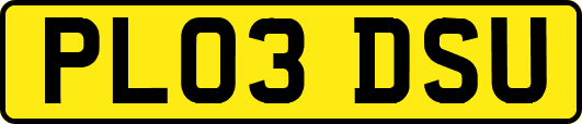 PL03DSU