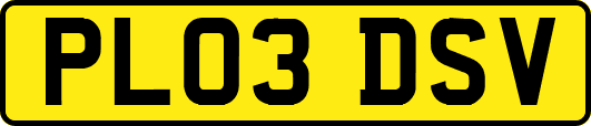 PL03DSV