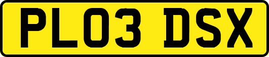 PL03DSX