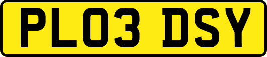 PL03DSY