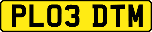 PL03DTM