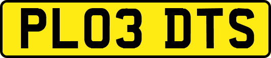PL03DTS