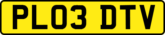 PL03DTV