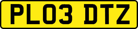 PL03DTZ