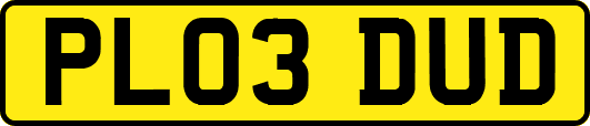 PL03DUD