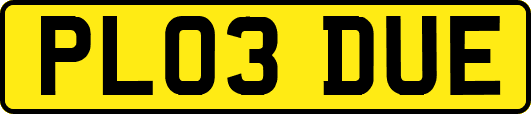 PL03DUE
