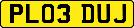 PL03DUJ