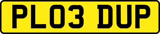 PL03DUP