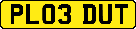 PL03DUT