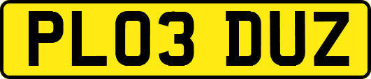 PL03DUZ