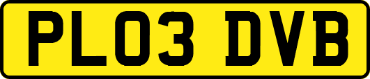 PL03DVB