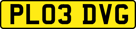 PL03DVG