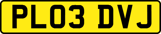 PL03DVJ
