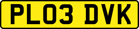 PL03DVK