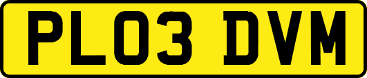PL03DVM
