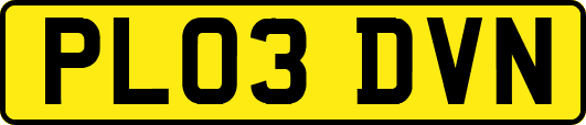 PL03DVN