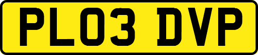 PL03DVP