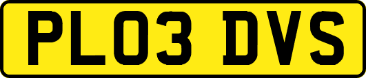 PL03DVS