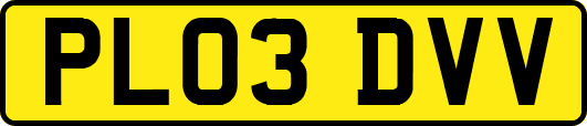 PL03DVV