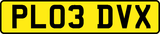 PL03DVX