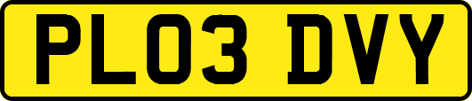 PL03DVY