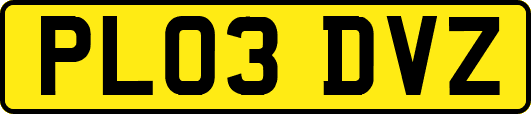 PL03DVZ