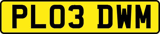PL03DWM