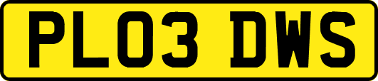 PL03DWS