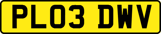 PL03DWV