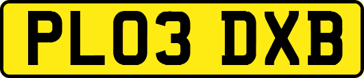 PL03DXB