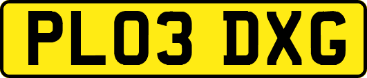 PL03DXG