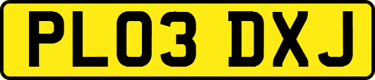 PL03DXJ